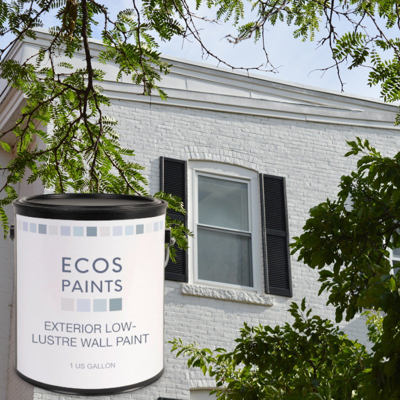 Eco-Friendly Painting service